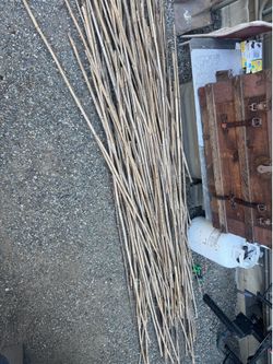 Free bamboo sticks Downtown Puyallup