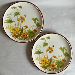 Two Vintage Mikasa Natural Beauty “Fresh From the Garden” Dinner Plates