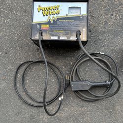 36V Golf Cart Battery Charger