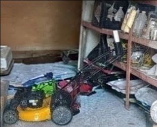 DeWalt Gas Powered Push/ Self Propelled Lawn Mower