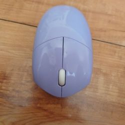 Computer Mouse