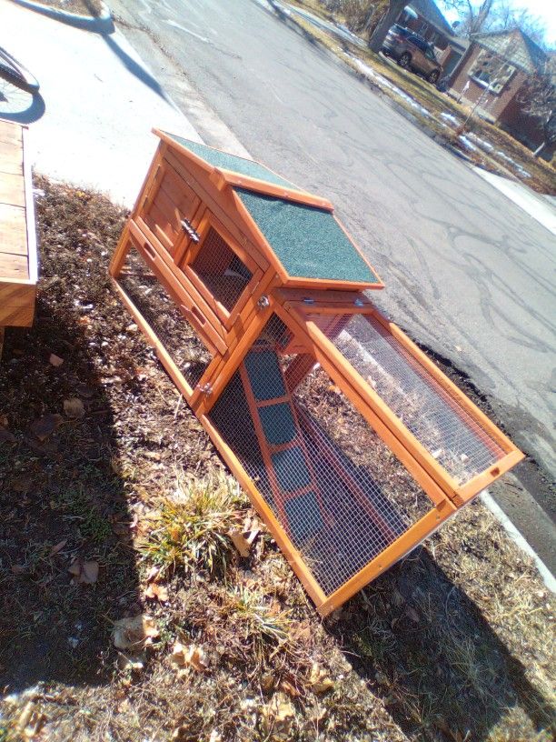 Chicken Coupe