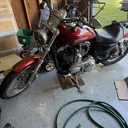2008 Harley Davidson Sportster 1200