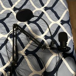 Microphone (USB PnP Audio Device)
