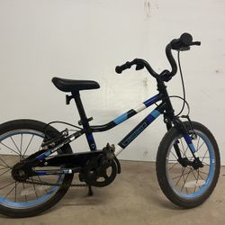 Guardian bike Kids 16’
