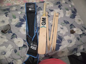 Cricket set with bat and wickets and bag