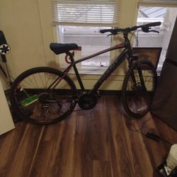 GIANT BIKE 