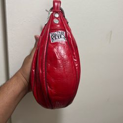 Professional Authentic Speed Bag