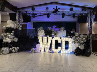 Disco Theme Party