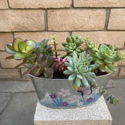 Succulents Arrangement For Mother’s Day 