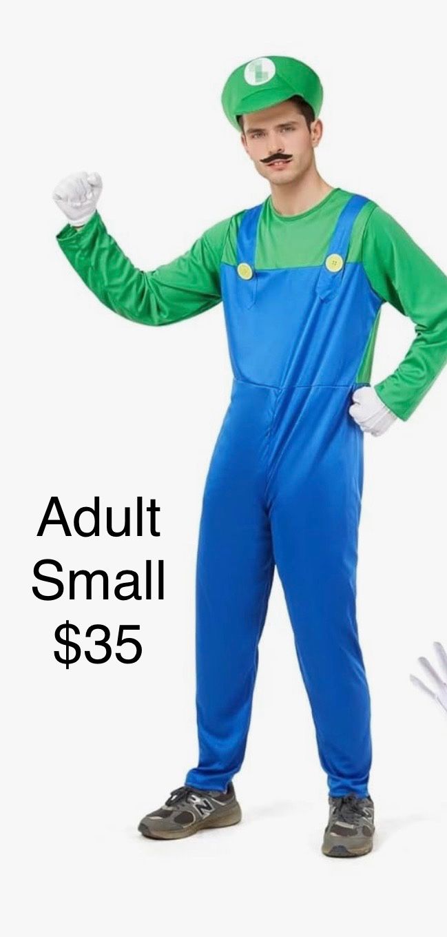 Adult Luigi Halloween Costume (small)