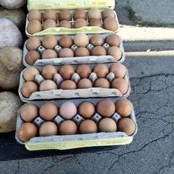 Fresh Farm Eggs 