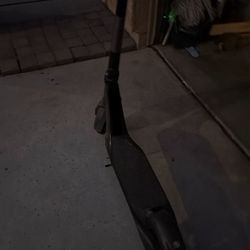 Bird Electric Scooter