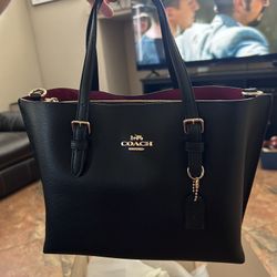 Coach Mollie Tote 