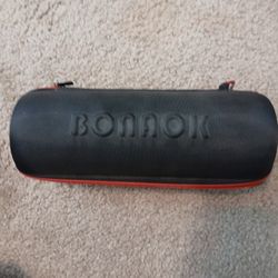 Bannon Microphone 