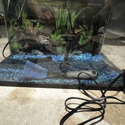 10 Gallon Fish Tank Setup With Led Light 