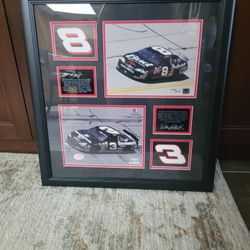 DALE EARNHARDT JR. # 8 & # 3  Nascar Limited Edition 8003 