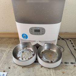 Auto Pet Feeder