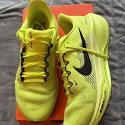 Nike Pegasus 41 Size 11