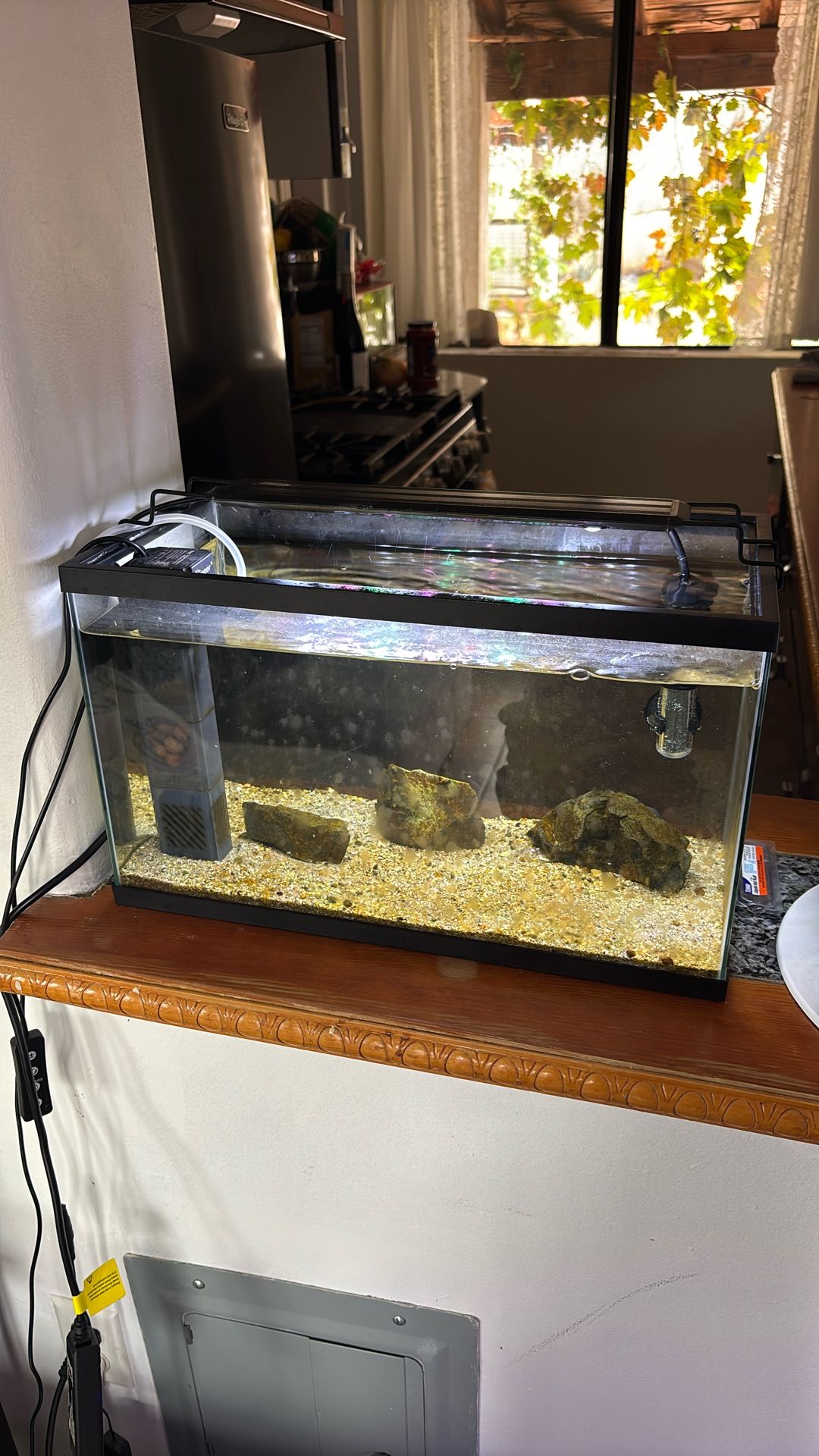 5 Gallon Fish Tank