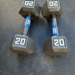 Dumbbells 20s Brand New