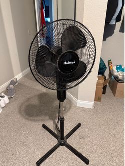 Fan - 3 speed / oscillating
