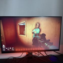 Gaming Monitor 