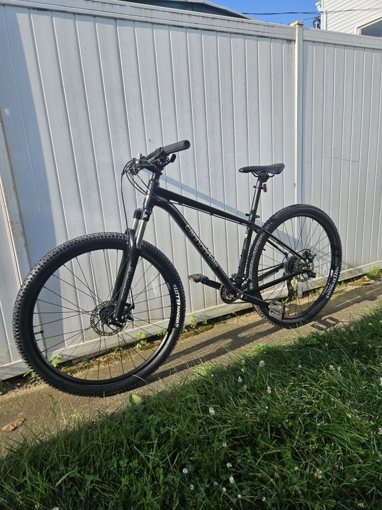 Cannondale Trail 8 Mountain Bike