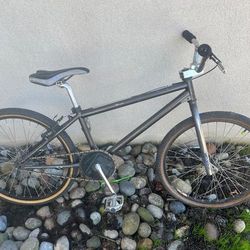 Diamond Back Bmx Bike 1990s 24 Inch Cruiser 