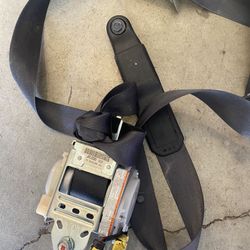 2010 Honda Accord Passenger Seat Belt