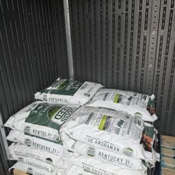 Tall Fescue 40 Lb 