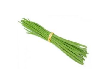 Fresh Moringa Drumsticks