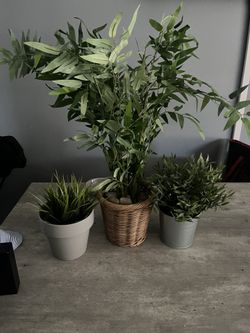Faux Plants
