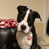 Brianna