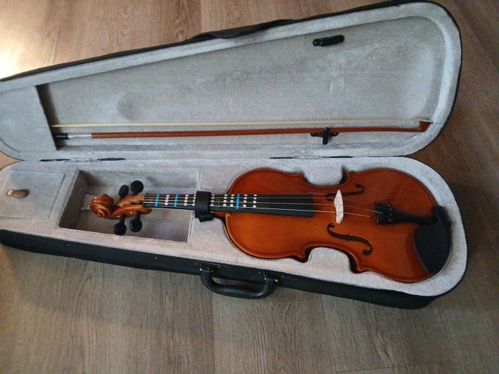 Violin
