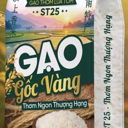 2026 rice Low GI ST25 Thom Ngon Thuong Hang 