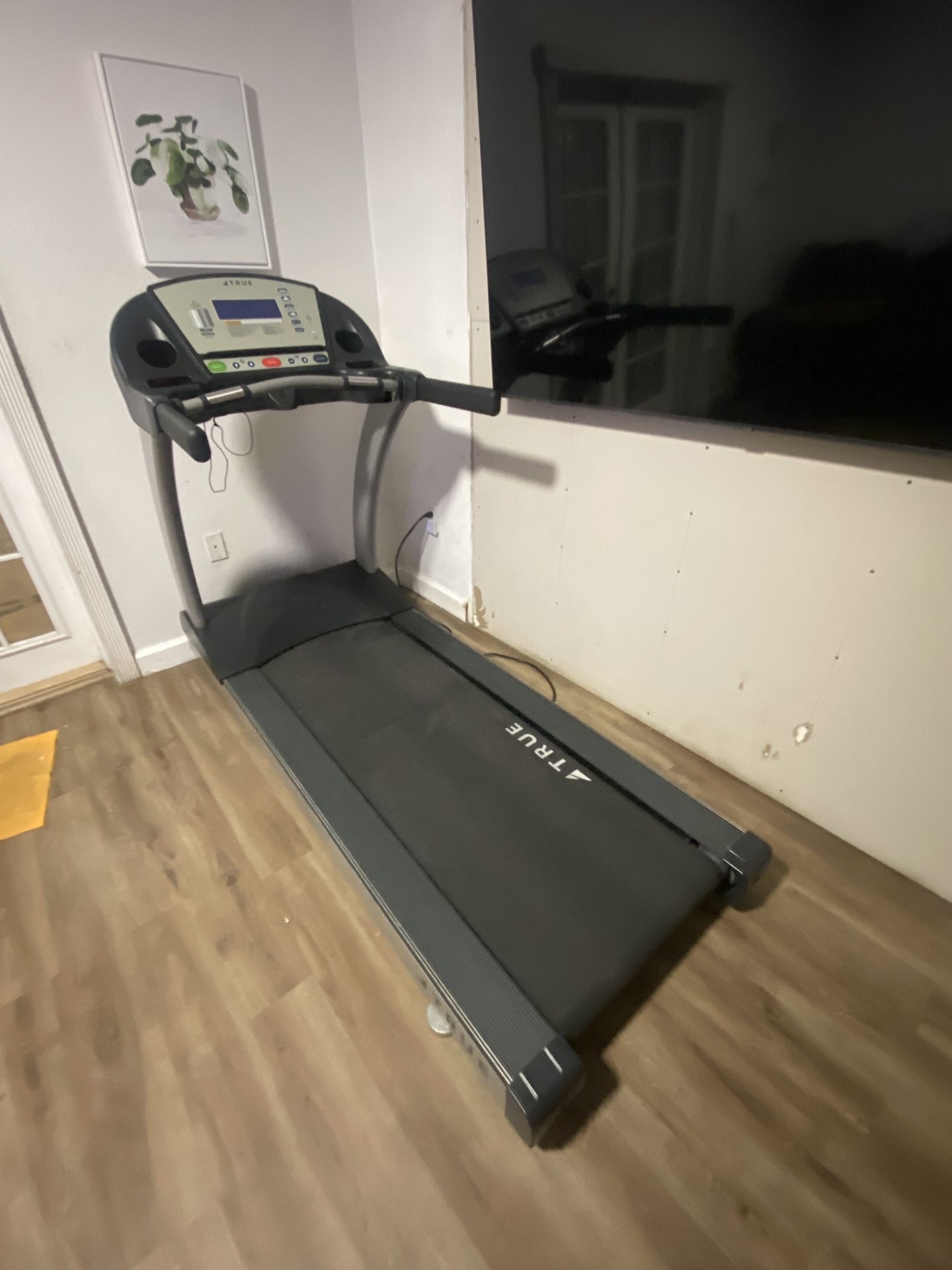 True Treadmill Commercial Grade