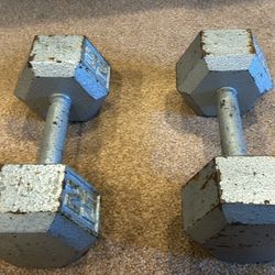 Durable 25-Pound Hex Dumbbells (Pair) 