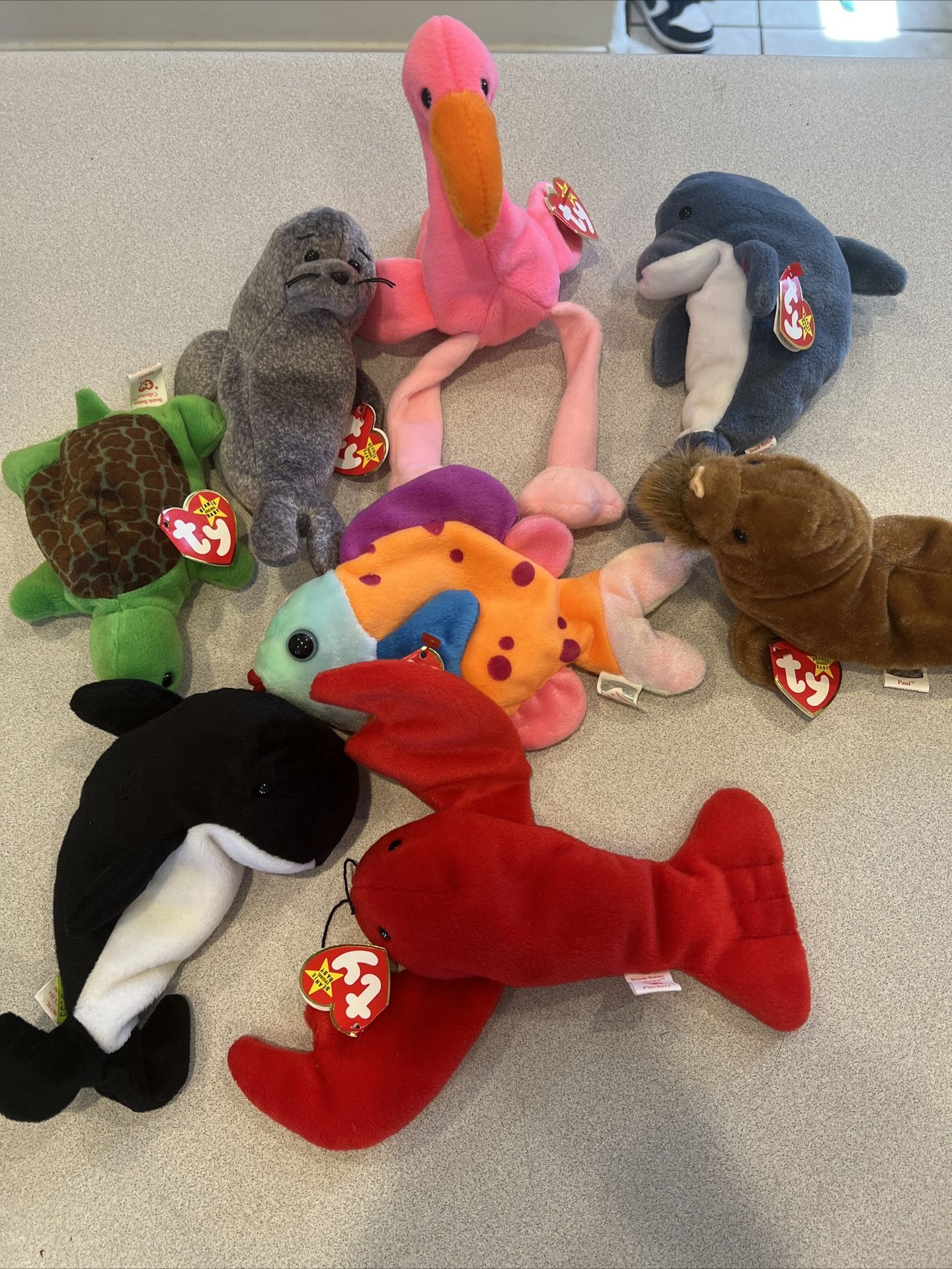 Ocean creatures, beanie babies lot