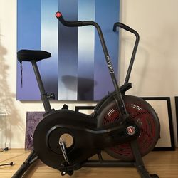 Schwinn airdyne ad2 used sale