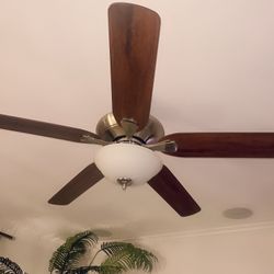 Ceiling Fan With Light