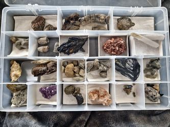 Rock, Fossil, Mineral collection