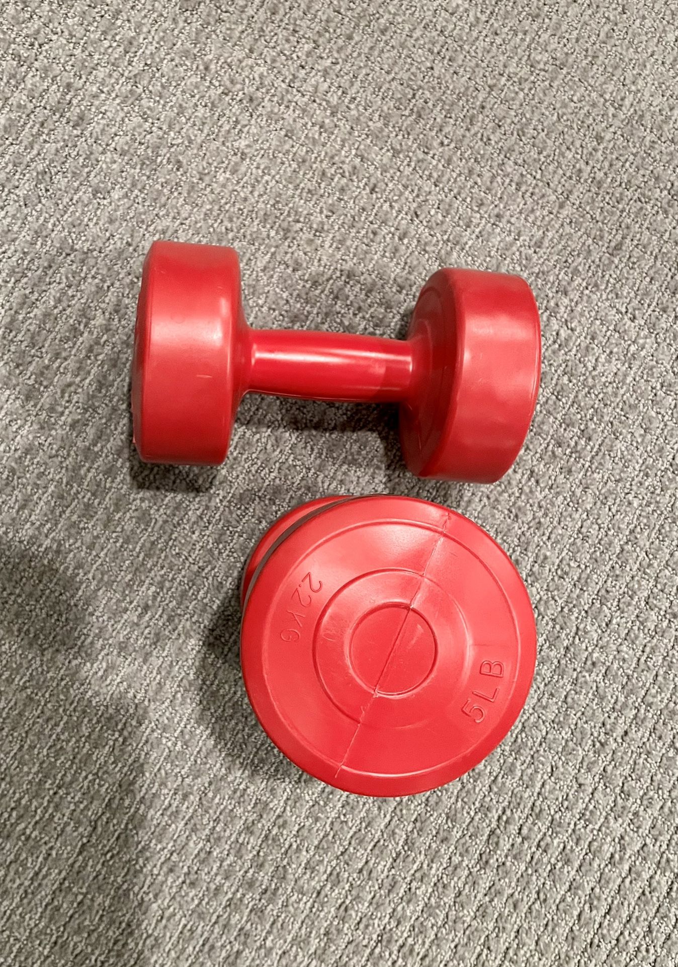 Hand Weights 5 Pounds