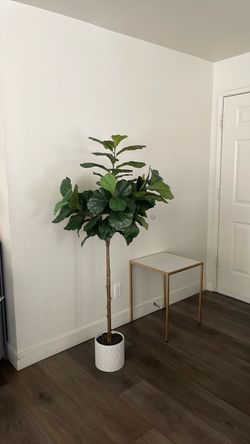 Plant  artificial