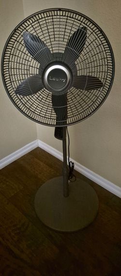 Fan
