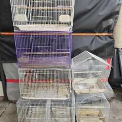 Bird Cages