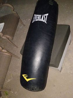 Everlast 100 lbs punching bag