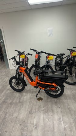 Manufacture price to everyone on cargo e-bike family cargo electric bike