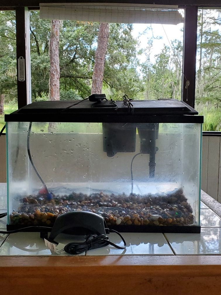 10 gal fish tank