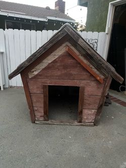 Huge dog house